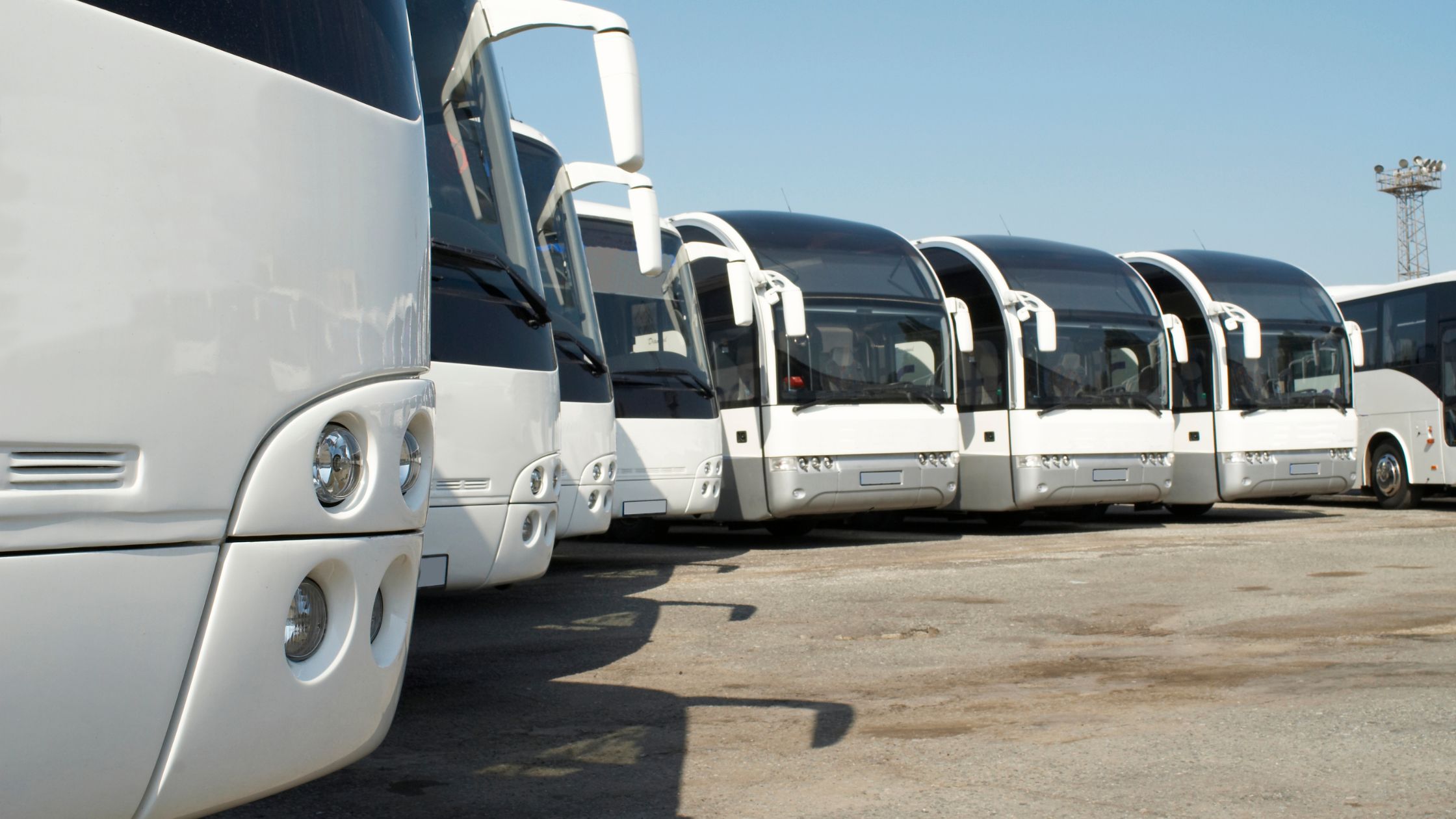 firma transport persoane Suceava
